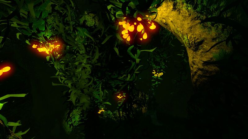 File:Kelp Forest Night (2).jpg