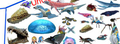 Thumbnail for version as of 15:19, 24 October 2018
