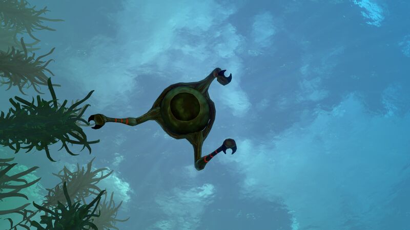 File:Shuttlebug1.jpg