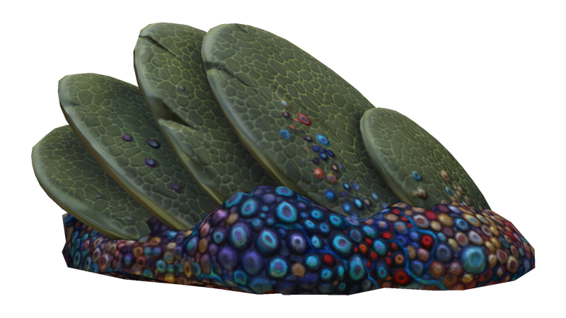 File:Slanted Shell Plate Fauna.png