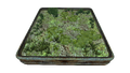 Thumbnail for version as of 22:39, 5 September 2016