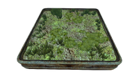 Abandoned Indoor Grobed.png