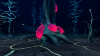 Blood Oil on the stem of a Bloodvine