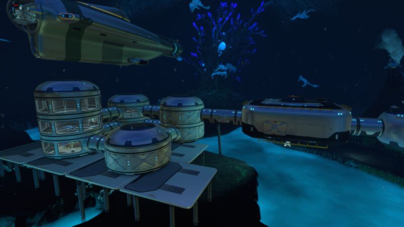 File:CoveTreeBase.jpg