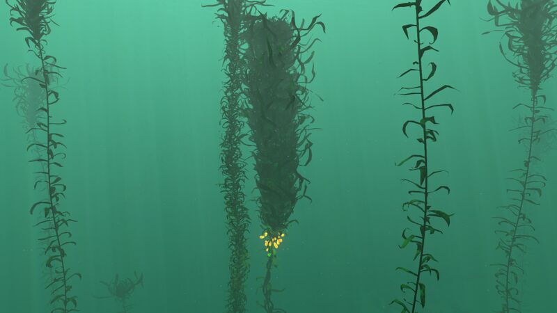 File:CreepvineDay.jpg