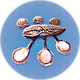 Cured Hoverfish.png