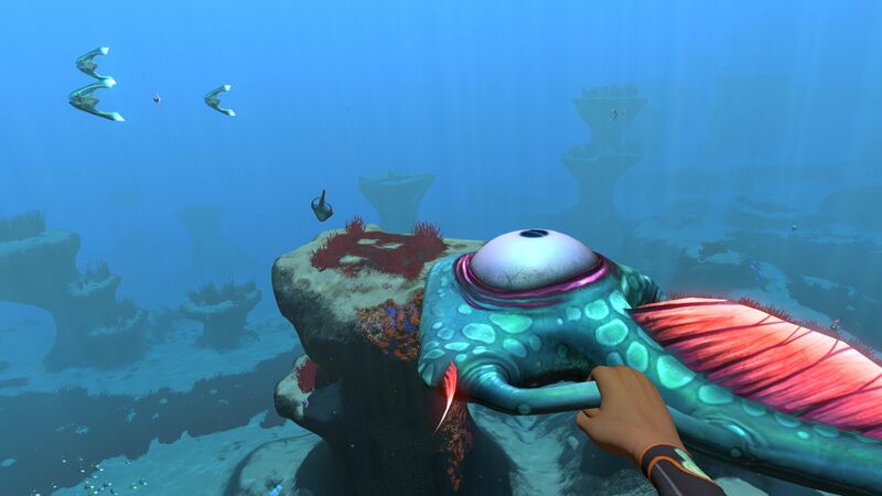 File:HoldingSpadefish.jpg