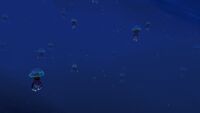 Eye Jelly in an area outside of the caverns of the Glacial Connection