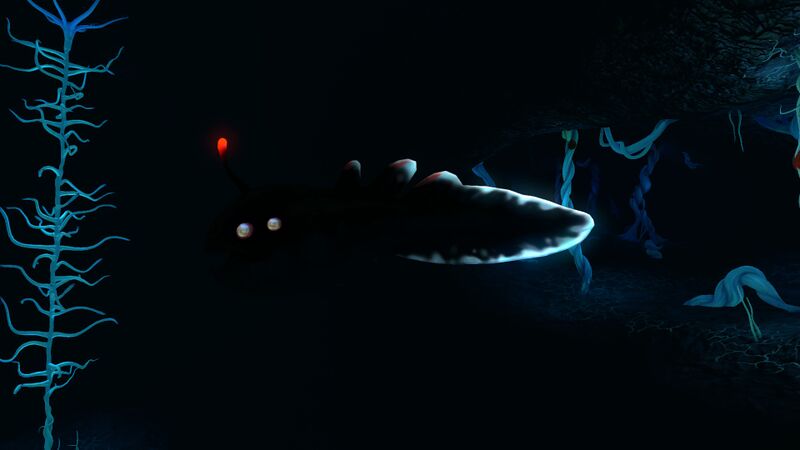 File:BlighterBioluminescence.jpg
