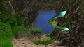 Boomerang in Kelp Forest Caves