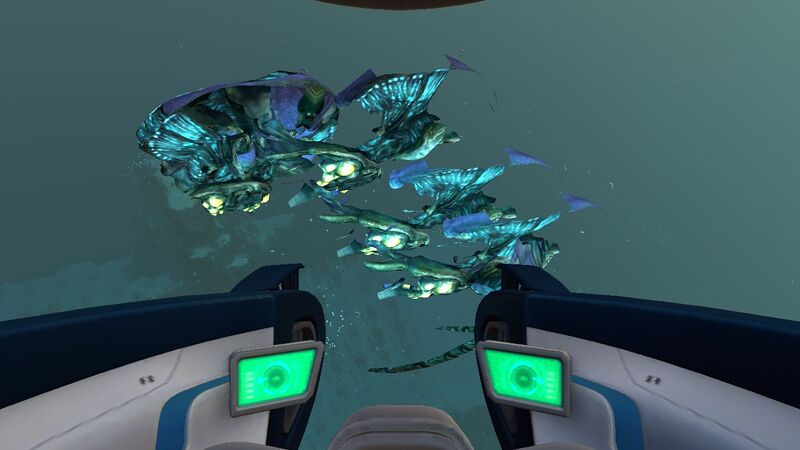 File:Deadreefjuvenile.jpg
