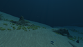 Thumbnail for version as of 16:41, 8 April 2017