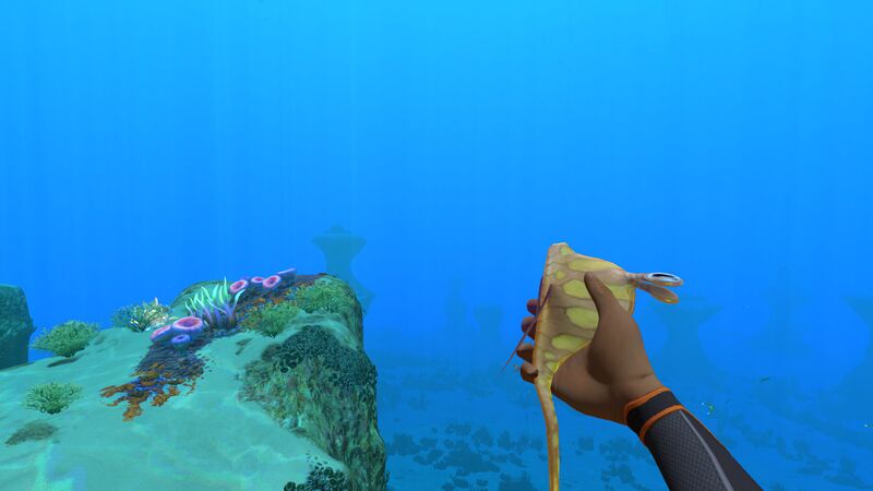 File:HoldingGarryfish.jpg
