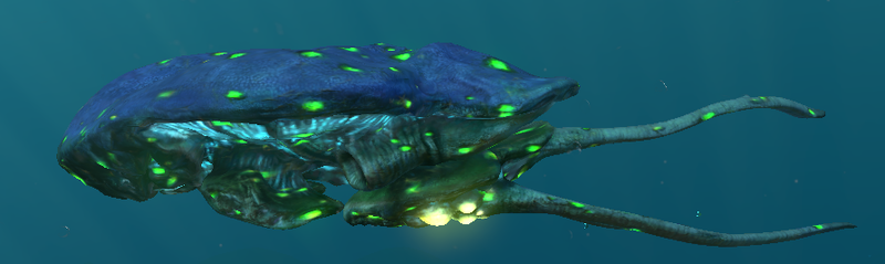 File:Infected juvinille reefback.png