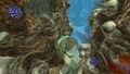 Jelly Plants in Safe Shallows near Aurora