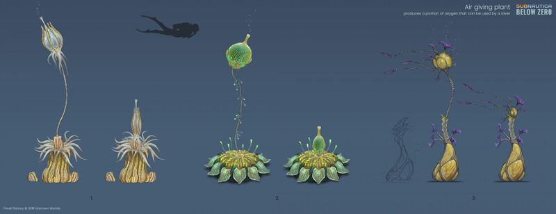File:Plants air giving 02.jpg