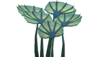 Pygmy Fan Flora.png