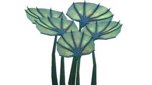 Pygmy Fan Flora.png