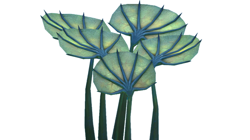File:Pygmy Fan Flora.png