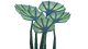 Pygmy Fan Flora.png