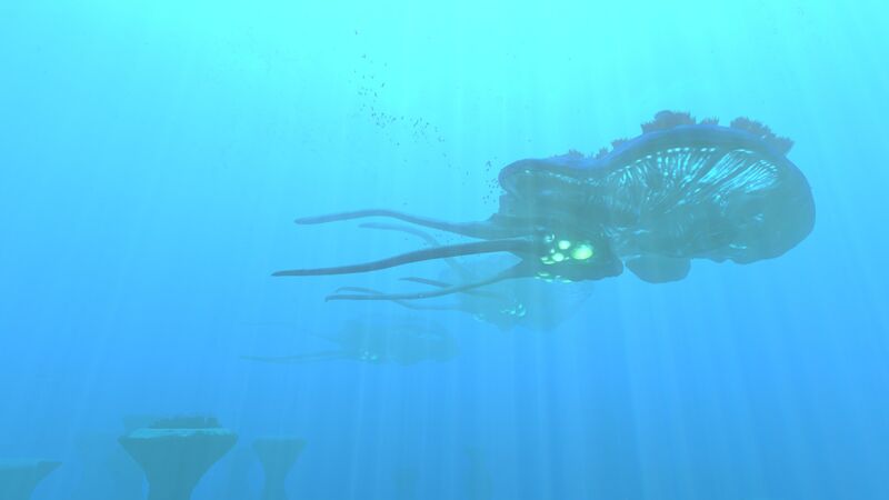 File:Reefback (10).jpg