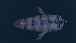 SandShark6.jpg