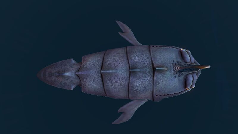 File:SandShark6.jpg