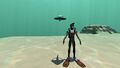 A size comparison between a Spadefish and the player
