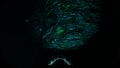 Uraninite Crystal in the Blood Kelp Biome