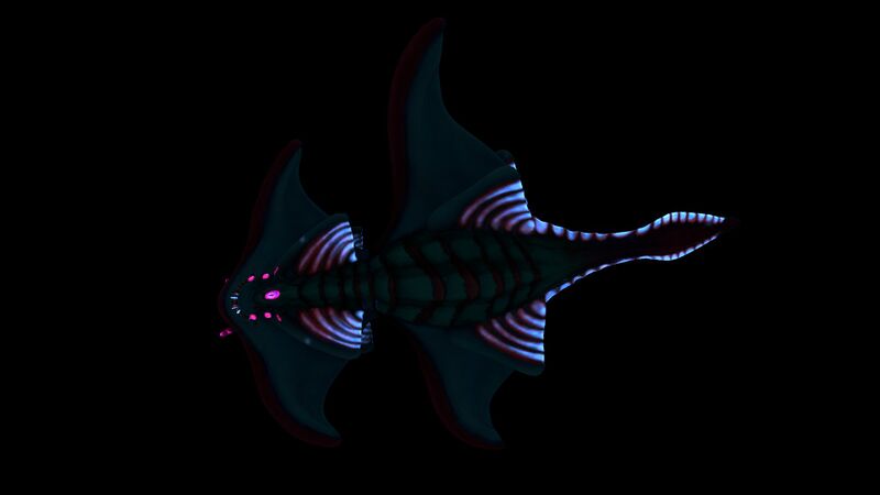 File:Arctic Ray Night 2.jpg