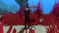 Size comparison to the player