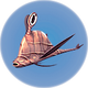 Cured Garryfish.png