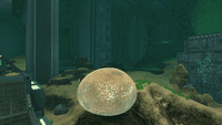 Baby Leviathan Enzymes curing the player of the Kharaa Bacterium