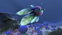 A Mesmer swimming in the Koosh Zone