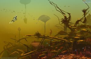 Lily pad islands 01.jpg