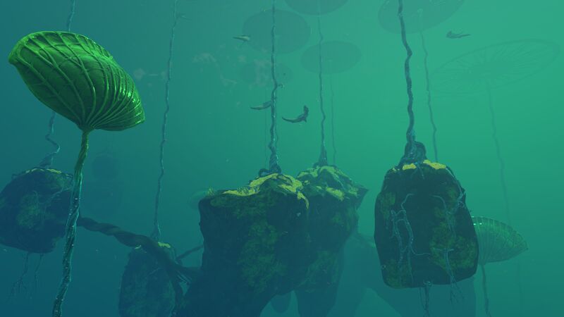 File:Lilypads1.jpg