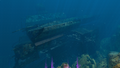Thumbnail for version as of 00:04, 7 August 2021