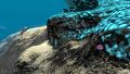 Spadefish, Lithium and Salt in Grand Reef
