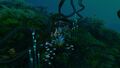 Thumbnail for version as of 13:34, 6 August 2021