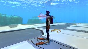 BladderfishSizeref.jpg
