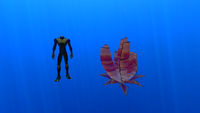 Size comparison with the player