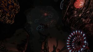 Spike Plant Caves (1).jpg