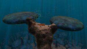 TreeMushroom04.jpg