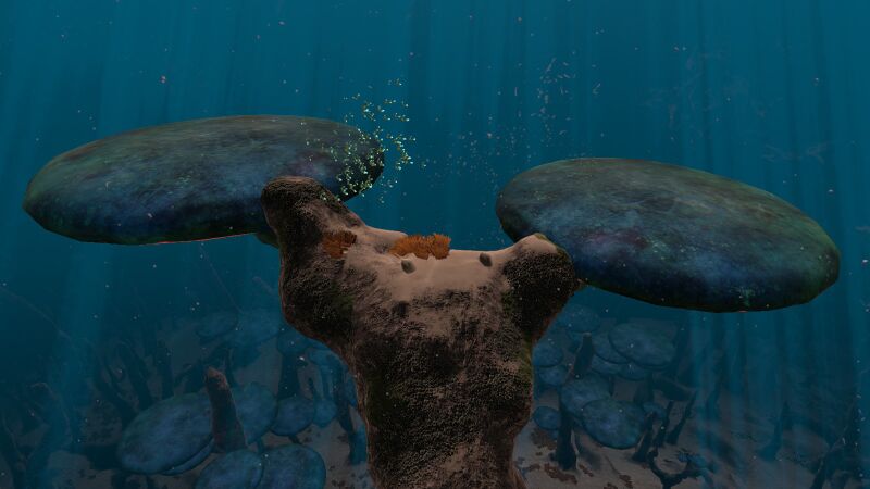 File:TreeMushroom04.jpg