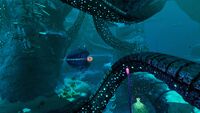A Bladderfish in the Twisty Bridges