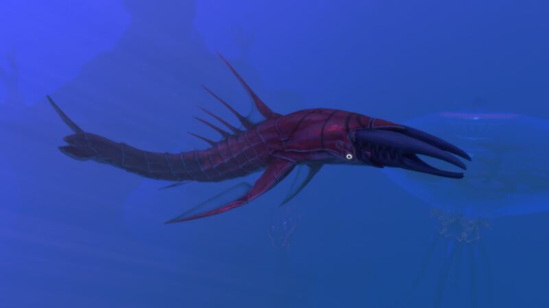 File:Chelicerate 4.jpg