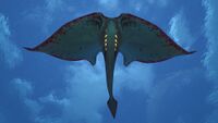 Underside