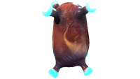 Ampeel Egg