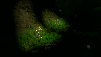 Two Eye Stalks illuminating the cave