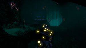 Lava Caves (3).jpg